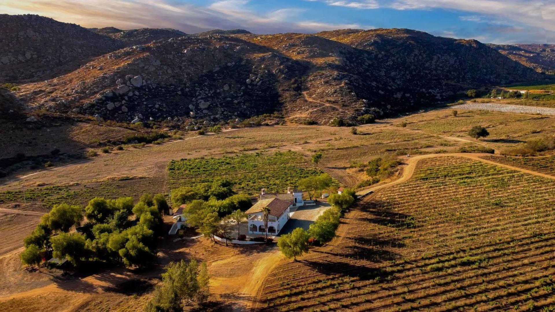Casa Luna Vinedo バジェ・デ・グアダルーペ エクステリア 写真